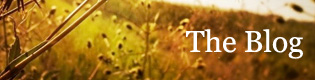 The Blog